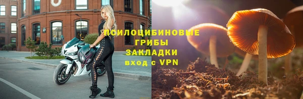 спиды Алексеевка