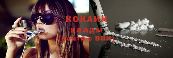 дживик Алзамай