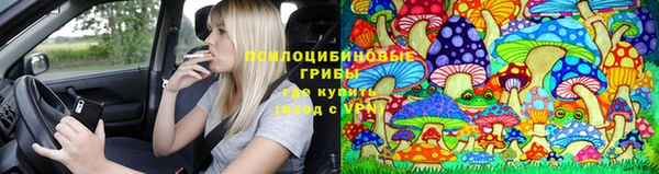прущие крисы Алексин