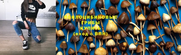 дживик Алзамай