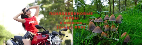 дживик Алзамай