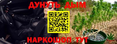 скорость Шелехов