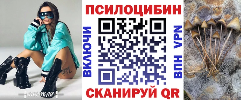 Купить  Алексеевка  Галлюциногенные грибы прущие грибы 