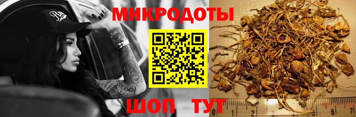 где найти   Псилоцибиновые грибы Cubensis  Вход с VPN  Алексеевка 